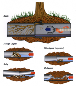sewer-lines-clogged1